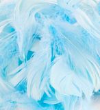 Eleganza Feathers Mixed sizes 3inch-5inch 50g bag Lt. Blue No.25 - Accessories